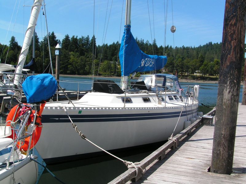 Islander 40 ...