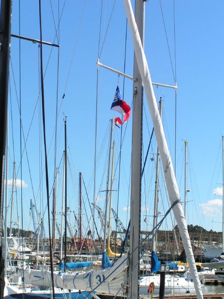 Tacoma Blue burgee