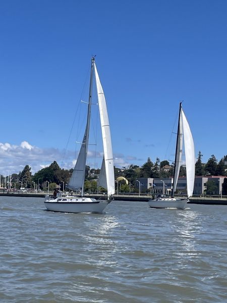 Windcatcher and<BR>Bella Luna