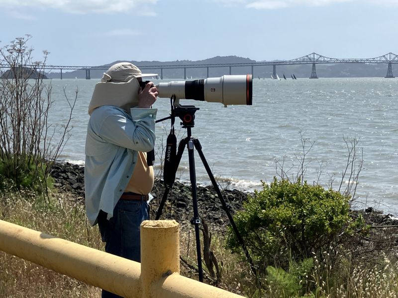 Steve Green clicks
