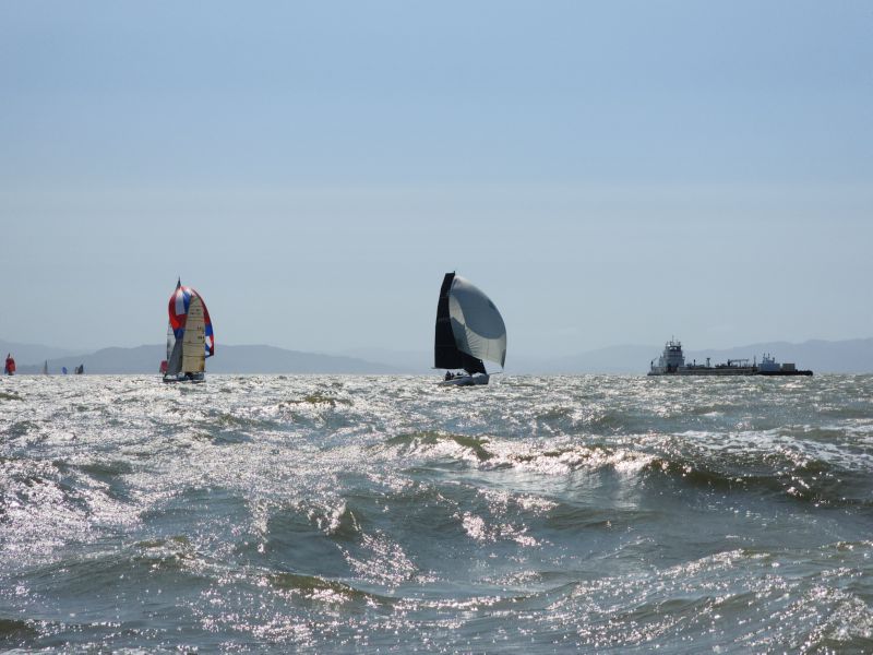 View from Windwalker<BR> on San Pablo Bay