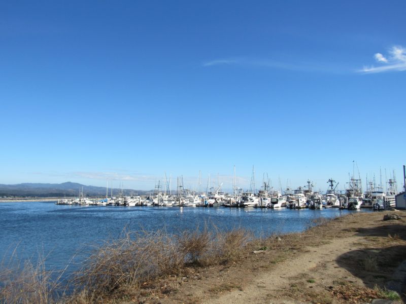 Fishing fleet at<BR>Pilar Pt. Harbor