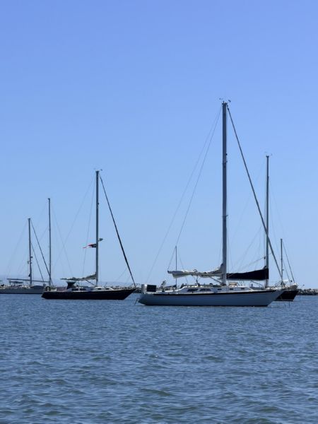Sunday: Green Flash<BR>and WindCatcher