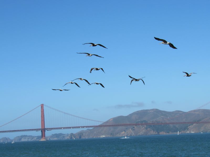 and Golden Gate.