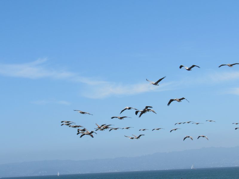 aquadron incoming ...