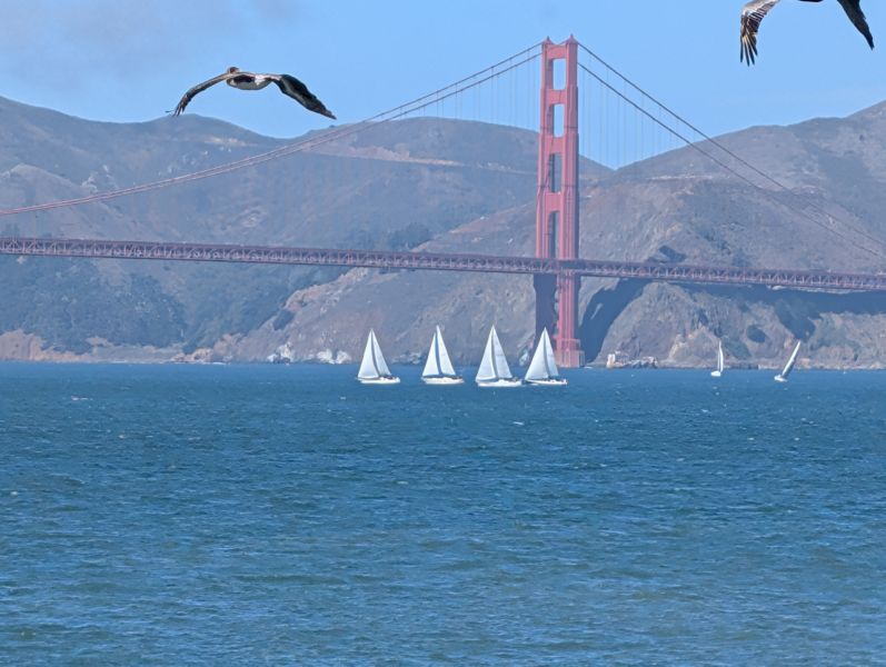 Birds, Boats & Bridge