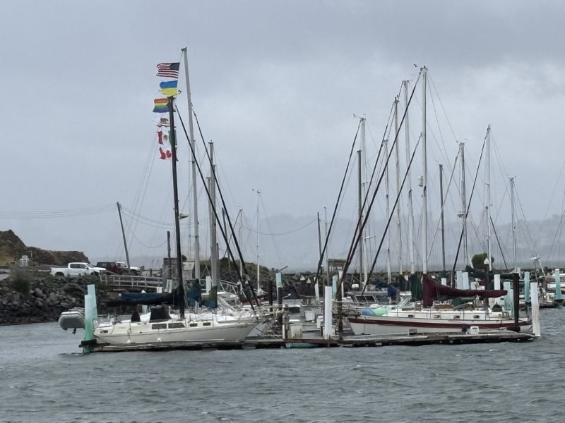 has flags starched ...