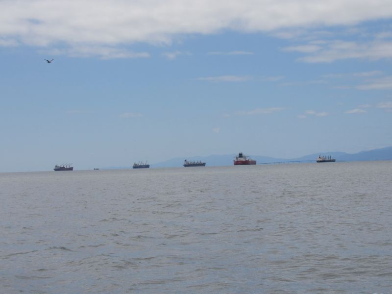 Looking south<BR>San Mateo Br.