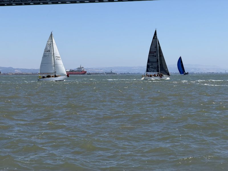 The fleet